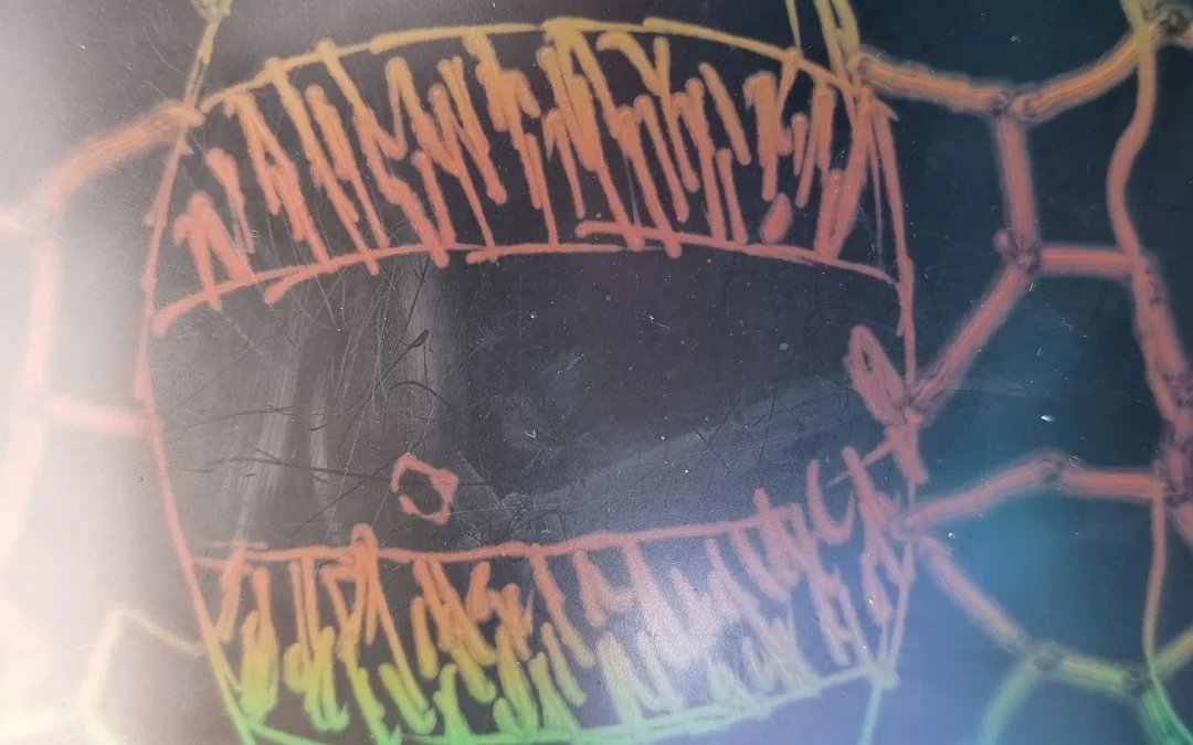 When I die, remember, don’t replace me – by James B